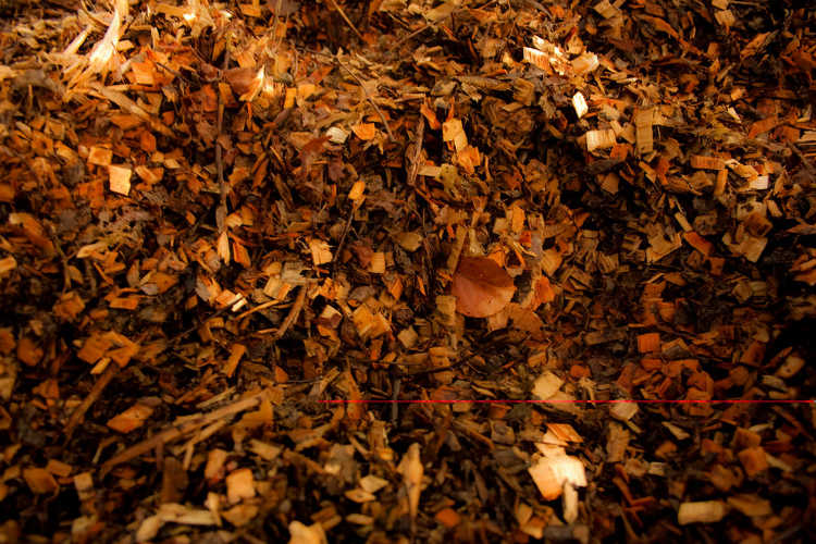 粘土 修正和改善你的土壤的提示史诗园艺bob手机官网 Bob电竞客户端